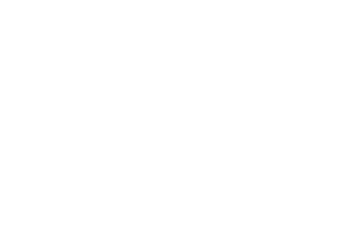 The Good Girl The Good Girl